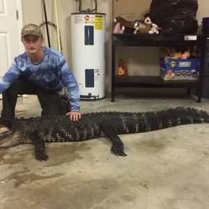 Meet your Posher, Brendan